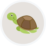 烏龜